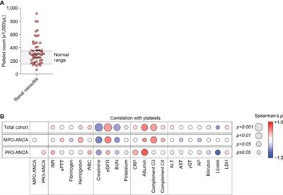 Implication of platelets and complement C3 as link between innate immunity and tubulointerstitial injury in renal vasculitis with MPO-ANCA seropositivity